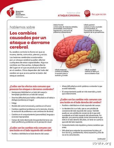 ¿Cuáles son los efectos físicos del daño cerebral y cómo transforman radicalmente la arquitectura biológica del cuerpo humano?