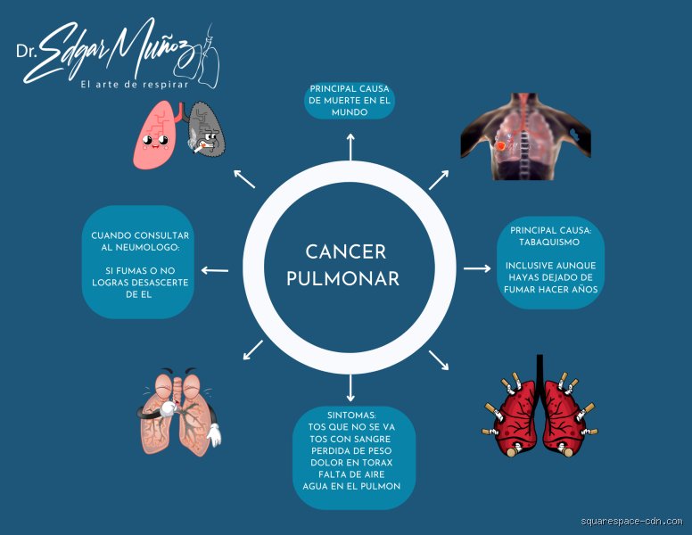 Señales silenciosas y fatiga invisible: ¿Cuáles son los primeros signos de daño pulmonar que solemos ignorar por completo?