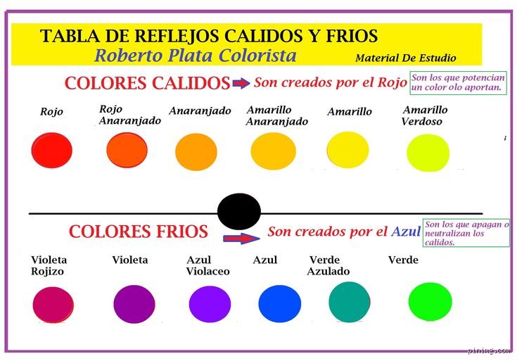 ¿Cuáles son los tonos cálidos y fríos para el cabello? Guía maestra para dominar la colorimetría capilar profesional