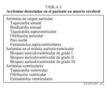 ¿Cuáles son los tres signos de muerte cerebral? El abismo biológico entre el coma profundo y el final irreversible