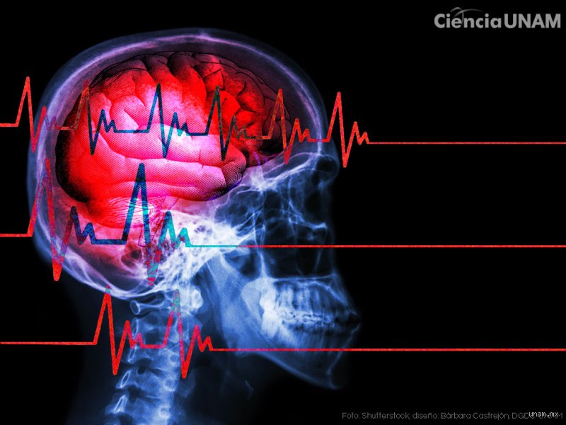 ¿Cuándo el daño cerebral es irreversible? El delgado umbral entre la recuperación milagrosa y el silencio neurológico permanente
