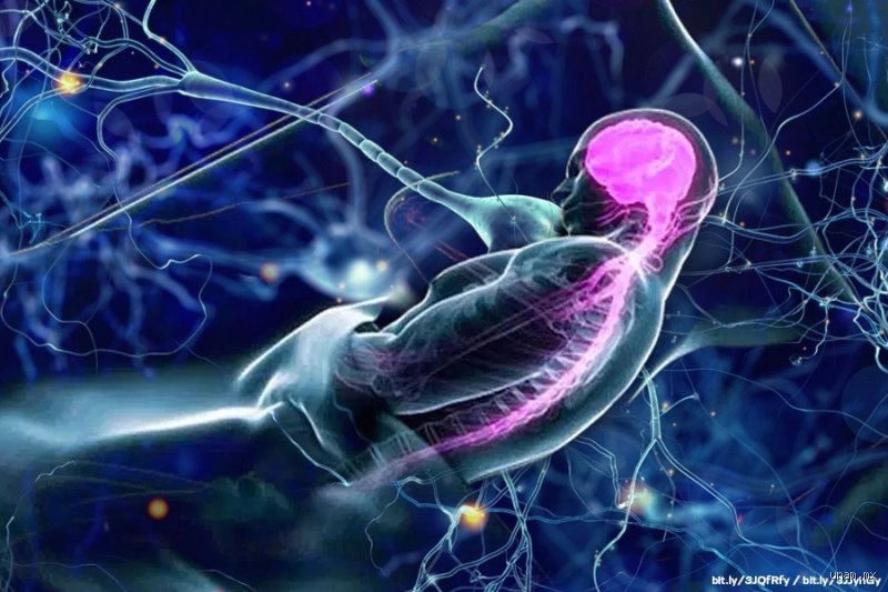 ¿Cuando uno duerme, el cerebro sigue activo o realmente se apaga durante la noche?
