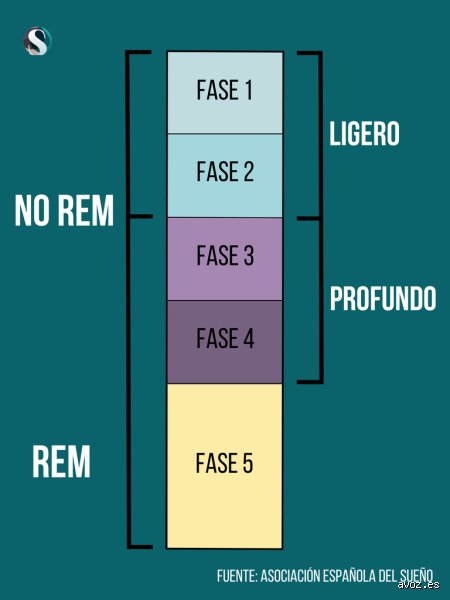 ¿Cuántas horas de sueño no REM son necesarias para que tu cerebro no colapse mañana mismo?