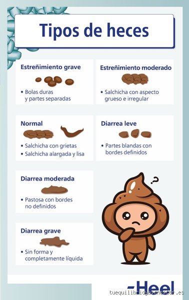 ¿Cuántas veces va al baño una persona con diarrea? Realidad médica frente a los mitos del desierto gástrico