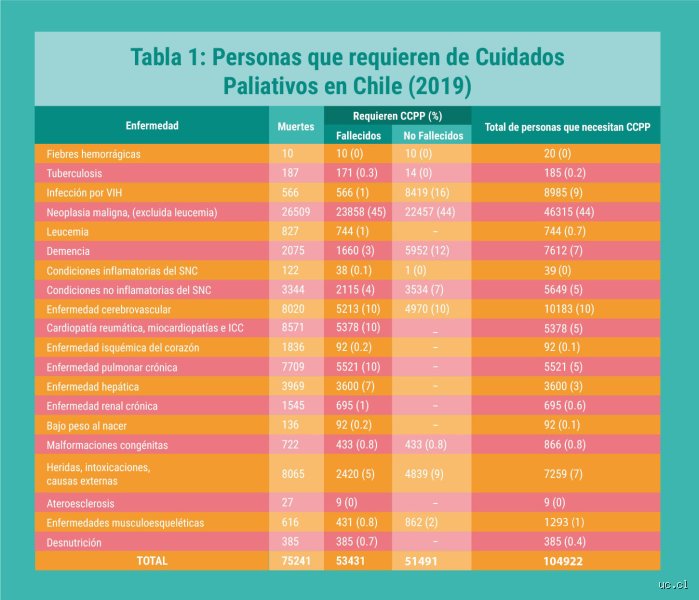 ¿Cuánto se vive en paliativos? La realidad médica frente al tabú del tiempo y la supervivencia final