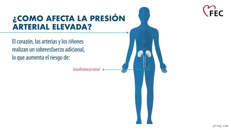 ¿Cuánto tiempo tarda en estabilizarse la presión alta? La realidad sobre los plazos que los médicos rara vez explican con total franqueza