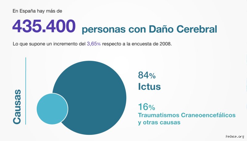 ¿Cuántos años puede vivir una persona con daño cerebral? La realidad médica tras el pronóstico de supervivencia
