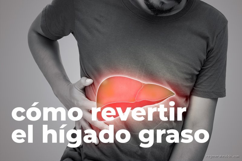 ¿Cuántos días tarda el hígado en desintoxicarse? La realidad científica frente a los mitos de las dietas milagro