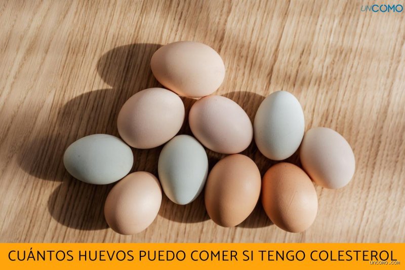 ¿Cuántos huevos puedo comer si tengo colesterol alto? Verdades y mitos sobre el riesgo cardiovascular real