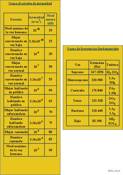¿Cuántos Hz tiene la voz humana? La guía definitiva para entender las frecuencias de nuestro instrumento natural