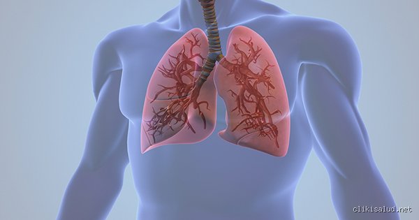 ¿Desaparecerá la inflamación en los pulmones por sí sola o estamos ante una bomba de tiempo biológica?