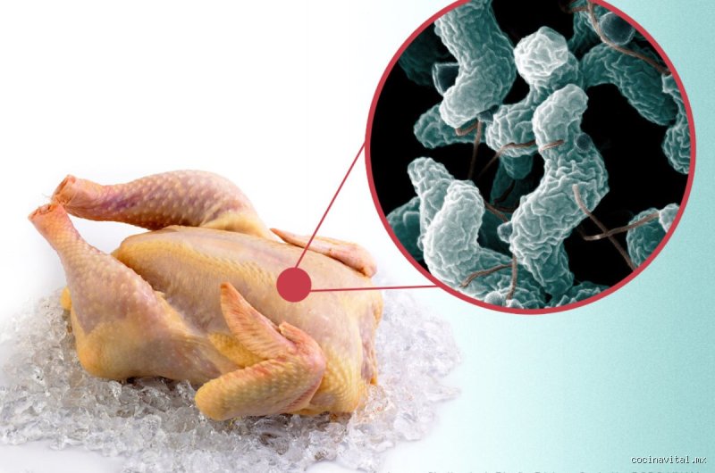 ¿El pollo es bueno para los pulmones? Descubre si esta carne blanca realmente protege tu sistema respiratorio