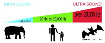 ¿Realmente el ser humano percibe sonidos que están en frecuencias entre 20 Hz y 20.000 Hz o es un mito técnico?