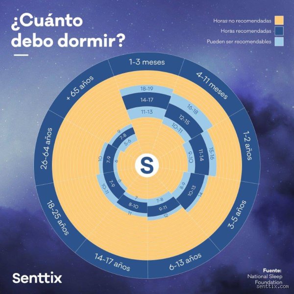 ¿Es bueno dormir 15 minutos en la fase REM? El dilema de las micro-siestas frente a la arquitectura cerebral