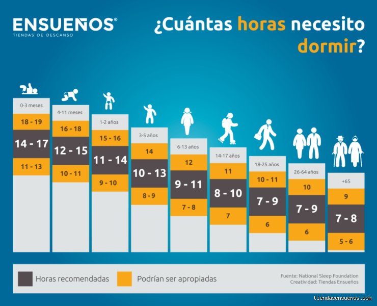 ¿Es normal necesitar 9 horas de sueño? La ciencia detrás de los durmientes largos y el mito de la eficiencia