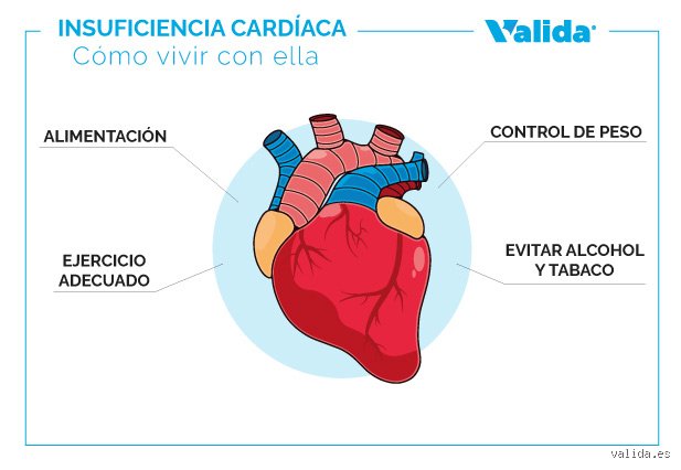 ¿Es posible curar la insuficiencia cardíaca? La verdad sin filtros sobre el desafío médico más complejo del siglo XXI