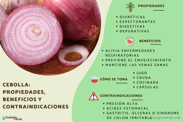 ¿La cebolla es buena para la tiroides? Verdad científica y mitos sobre este superalimento en tu salud hormonal