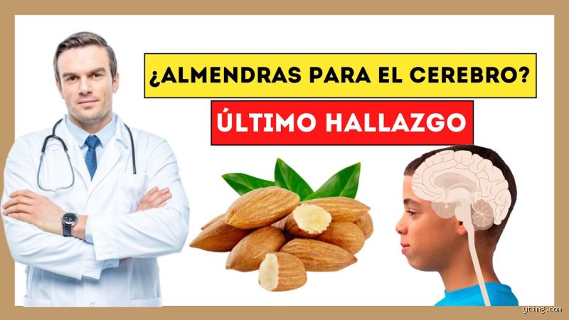 ¿La leche de almendras es buena para la memoria o es solo otra moda pasajera del marketing nutricional?