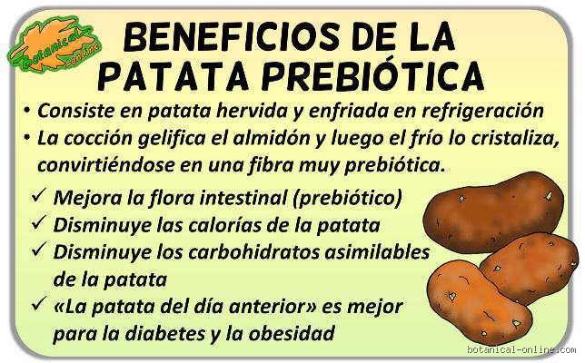 ¿La patata cocida es buena para la diarrea? Analizamos el papel del almidón en la recuperación intestinal