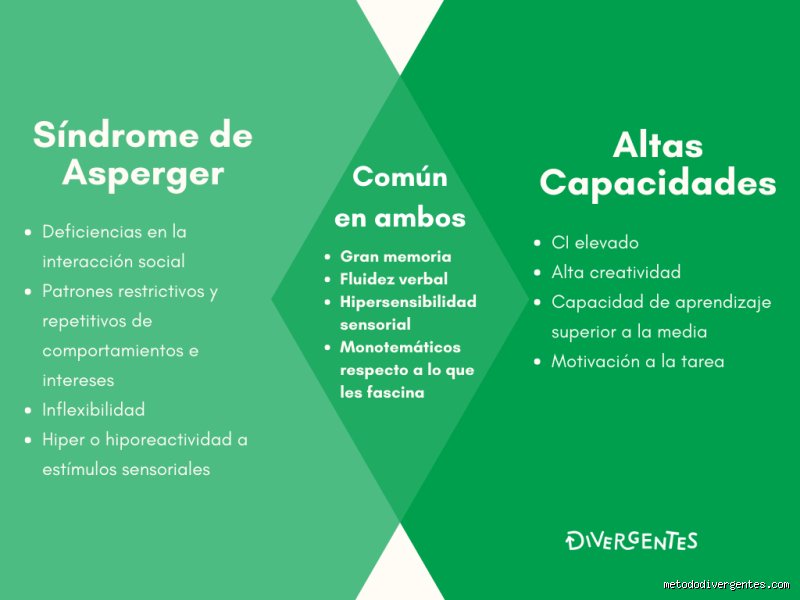 ¿Las personas autistas tienen un coeficiente intelectual alto? Desmontando el mito del genio solitario y la realidad del espectro