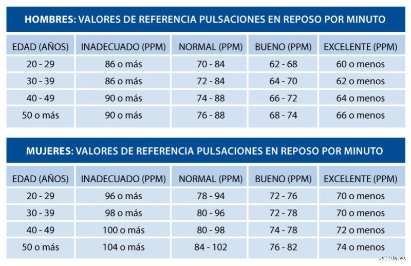 ¿Realmente las personas con una frecuencia cardíaca en reposo más baja viven más tiempo o es un mito médico?