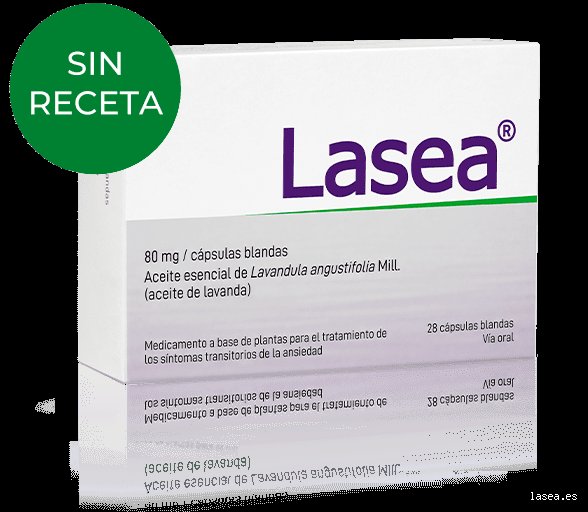 ¿Necesito medicamentos contra la ansiedad? Una guía honesta sobre cuándo la química se vuelve una herramienta necesaria