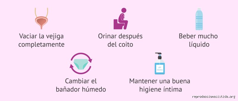 ¿Puede alguien fallecer a causa de una infección urinaria? La cruda realidad de un diagnóstico que subestimamos sistemáticamente
