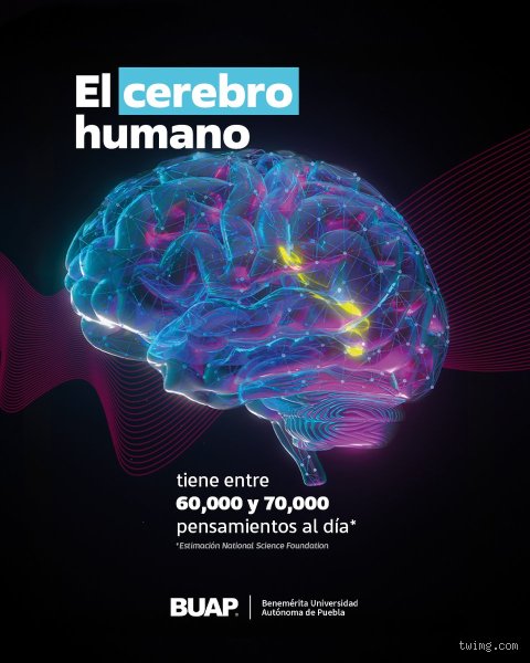 ¿Puede el cerebro humano procesar hasta 70.000 pensamientos al día? La verdad científica tras el mito de las máquinas biológicas