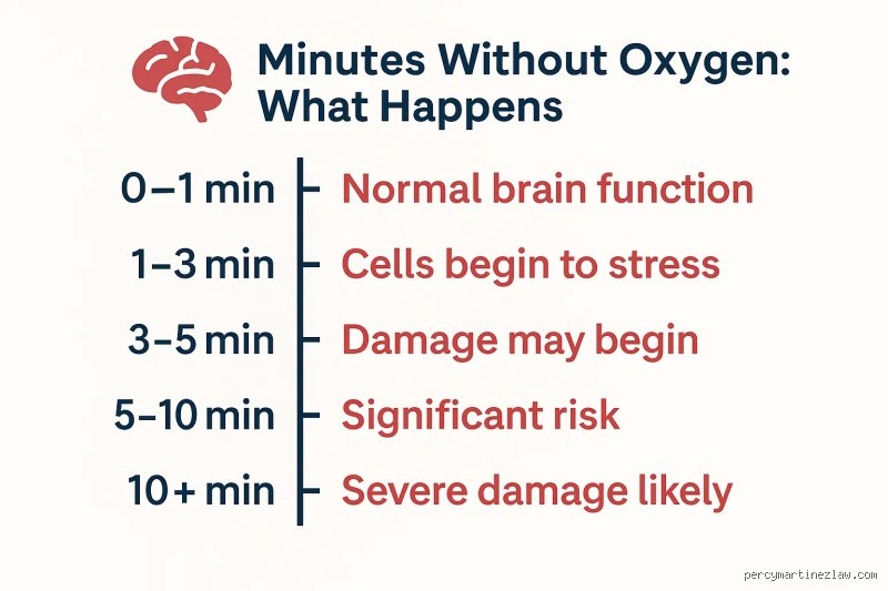 ¿Puede el cerebro sobrevivir sin oxígeno durante 30 minutos? Desmontando mitos sobre la muerte cerebral y la neuroprotección extrema