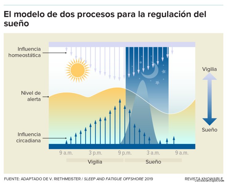 ¿Es realmente posible que la gente pueda sobrevivir con solo 4 horas de sueño o estamos ante un suicidio biológico a cámara lenta?