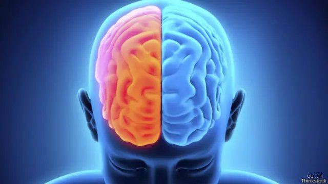 ¿Puede una persona con daño cerebral llevar una vida normal? Desmontando los mitos de la recuperación cognitiva