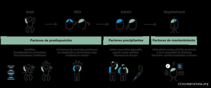 ¿Puede una persona tener esquizofrenia leve? El laberinto de los síntomas atenuados y la realidad del espectro psicótico