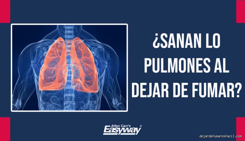 ¿Pueden los pulmones recuperarse al 100% del tabaquismo tras años de castigo sistemático y humo?