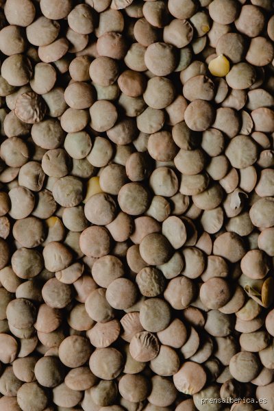 ¿Es seguro incluir lentejas en mi dieta si tengo hipotiroidismo? La verdad sobre los bociógenos y tu salud hormonal