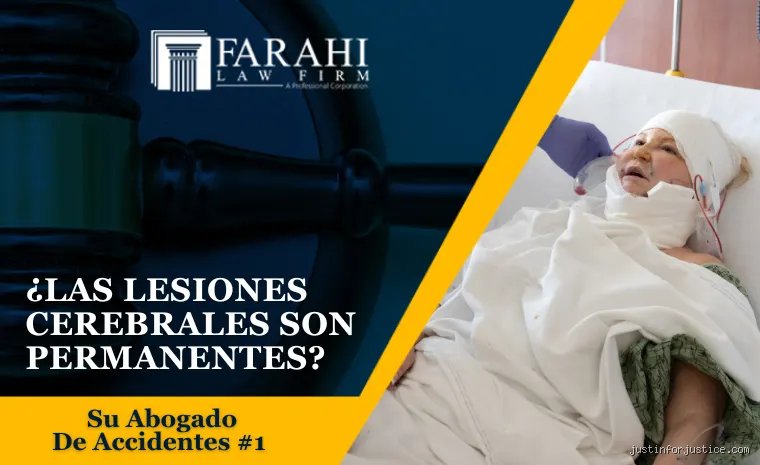 Vivir con daño cerebral permanente: un viaje entre la fragilidad biológica y la asombrosa resiliencia del espíritu