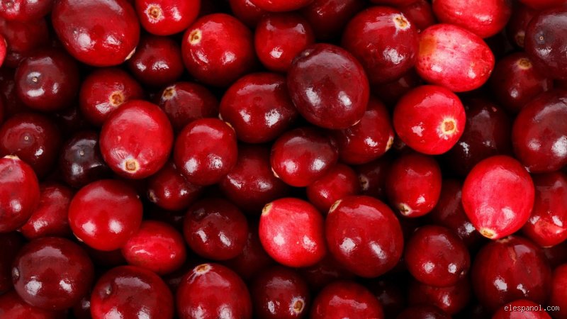 ¿Son los arándanos un antibiótico natural? Verdades científicas frente al marketing de los superalimentos