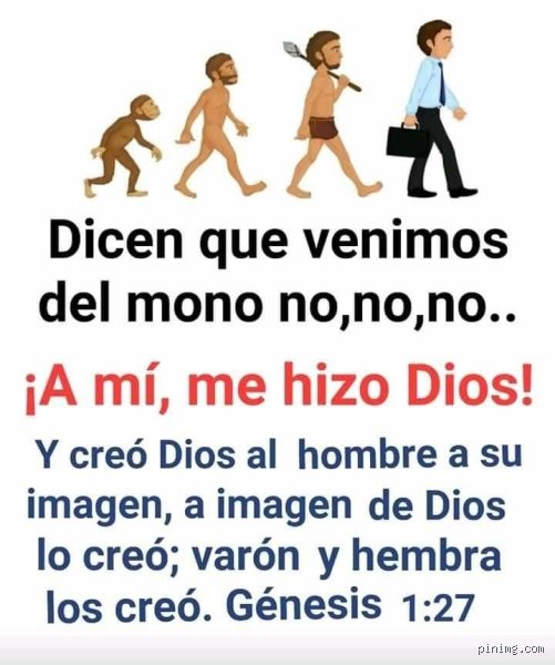 ¿Venimos del mono o de Dios? El laberinto eterno entre la genética evolutiva y el aliento divino