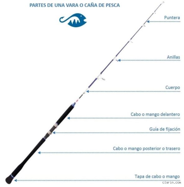 ¿Cómo se llama el gancho de una caña de pescar? Guía técnica sobre el anzuelo y su anatomía olvidada