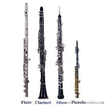 La flauta dulce y el clarinete frente a frente: ¿Cuál es el instrumento de viento madera más común realmente?