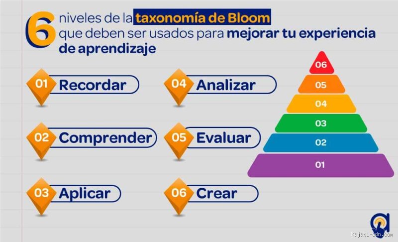 Más allá del doctorado y el postdoctorado: desvelando la verdad sobre cuál es el nivel más alto de enseñanza en la actualidad