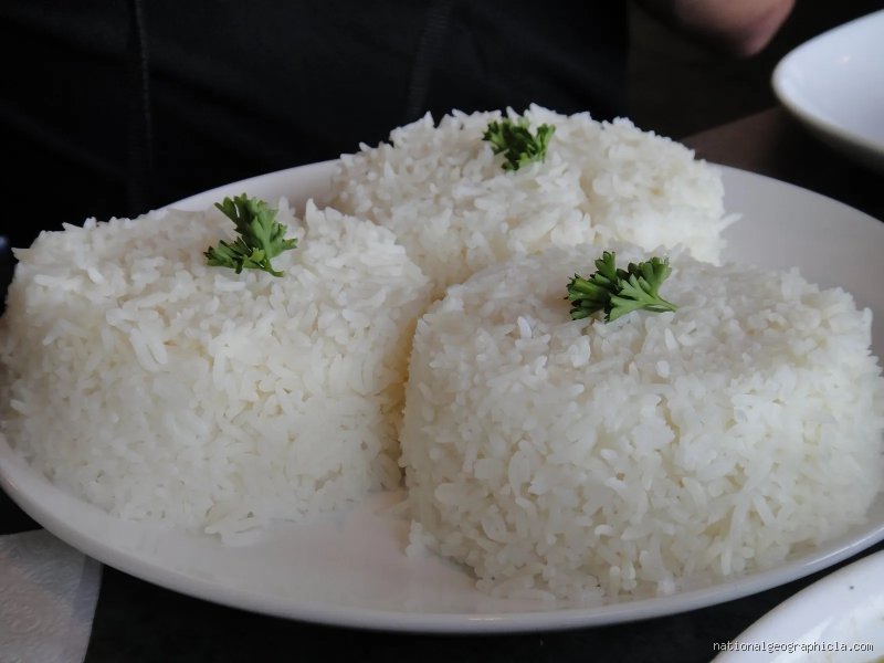 ¿Cuál es la manera correcta de comer arroz? Guía técnica para dominar el grano que alimenta al mundo