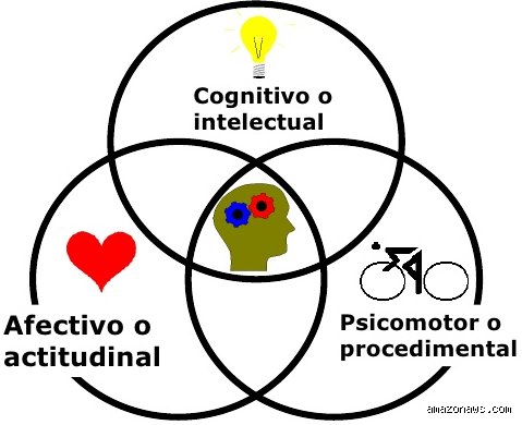 Explorando el laberinto cognitivo: ¿Cuáles son los 4 dominios de cómo se produce el aprendizaje y por qué ignorarlos arruina tu potencial?