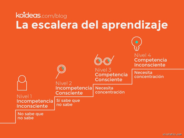¿Cuáles son los 4 niveles de aprendizaje y por qué dominar esta jerarquía cognitiva transformará tu capacidad de absorber conocimiento?
