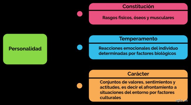¿Cuáles son los 4 factores que determinan la personalidad y por qué la ciencia moderna está cuestionando todo lo que creíamos saber?