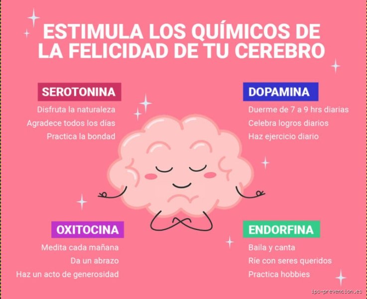 Guía definitiva para hackear tu cerebro: Cómo activar las 4 hormonas de la felicidad y transformar tu bienestar químico