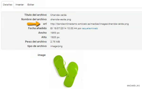 Guía definitiva para descubrir la dirección de una imagen en la web sin morir en el intento