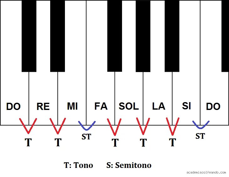 Guía definitiva para dominar la teoría musical desde cero: ¿Cómo entender los tonos y semitonos de forma profesional?