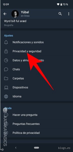 Cómo hacer para estar conectado en WhatsApp y no aparecer en línea: la guía definitiva para blindar tu privacidad en 2026