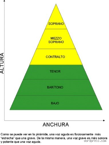 ¿Cómo se clasifica la voz? La guía definitiva para entender tu tesitura y el poder de las cuerdas vocales