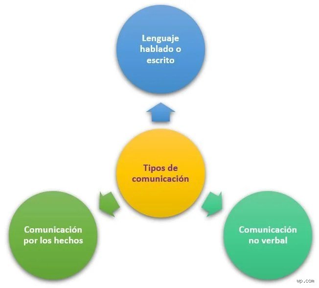 ¿Cómo se les llama a las tres formas de comunicación y por qué dominarlas definirá tu éxito profesional?